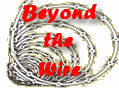 Description: http://016968d.netsolhost.com/btw/beyond.gif